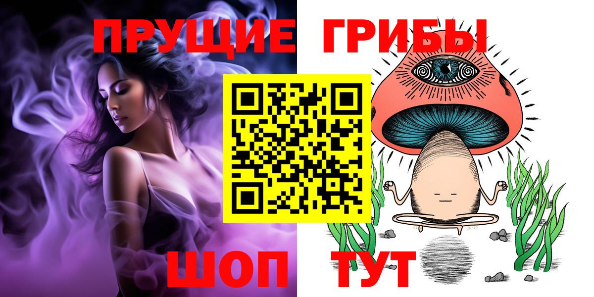 Знаменск  купить  цена  Вход с VPN  Галлюциногенные грибы Psilocybine cubensis 